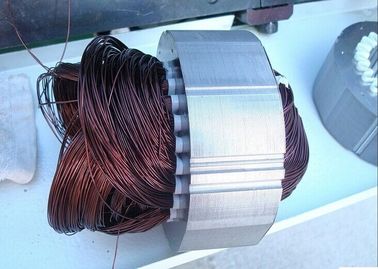 Coils and wedge embedded in the slots for stator of induction motor